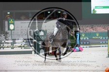 ref. photo 3396619