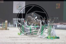 ref. photo 3396658