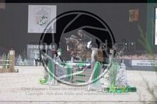 ref. photo 3396669