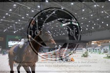 ref. photo 3396680