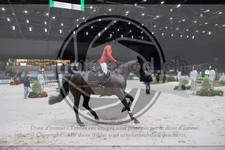 ref. photo 3396695