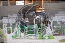 ref. photo 3396739