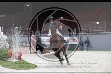 ref. photo 3396744