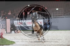 ref. photo 3396765