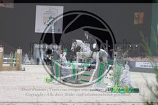 ref. photo 3396782
