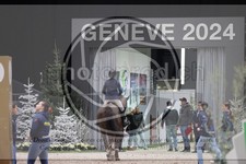 ref. photo 3396797