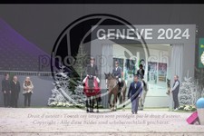 ref. photo 3396841