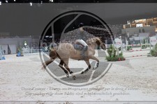 ref. photo 3396859