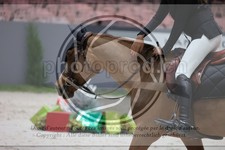 ref. photo 3396860