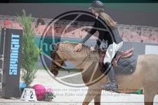 ref. photo 3396861