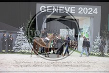 ref. photo 3396864