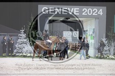 ref. photo 3396865