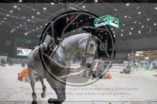ref. photo 3396891
