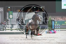 ref. photo 3396912