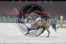 ref. photo 3396934