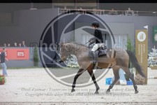 ref. photo 3396957