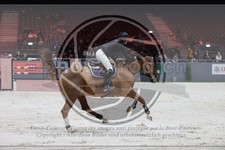 ref. photo 3396984