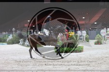 ref. photo 3396994
