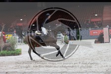 ref. photo 3396995