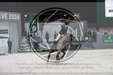 ref. photo 3397009