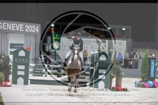 ref. photo 3397025