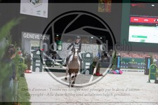 ref. photo 3397028
