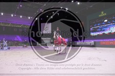 ref. photo 3397048