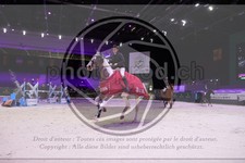 ref. photo 3397049