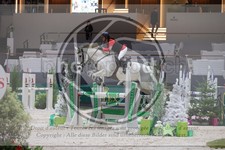 ref. photo 3397074