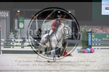 ref. photo 3397082