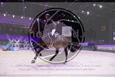 ref. photo 3397112