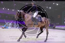ref. photo 3397113