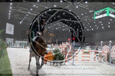 ref. photo 3397114