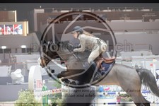 ref. photo 3397162