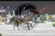 ref. photo 3397191