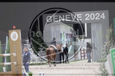 ref. photo 3397203