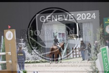 ref. photo 3397204