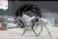 ref. photo 3397222