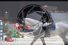 ref. photo 3397264