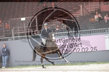 ref. photo 3397271