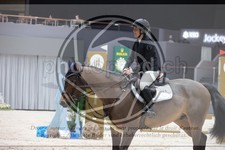 ref. photo 3397303