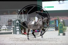 ref. photo 3397312