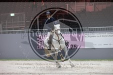 ref. photo 3397337