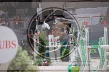 ref. photo 3397344