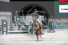 ref. photo 3397351