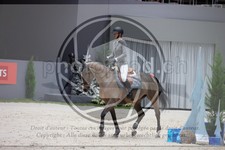 ref. photo 3397433