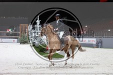 ref. photo 3397516