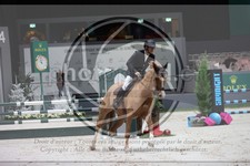 ref. photo 3397519