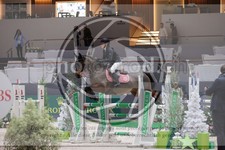 ref. photo 3397521