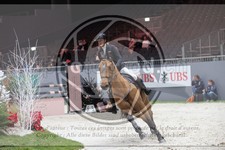 ref. photo 3397553